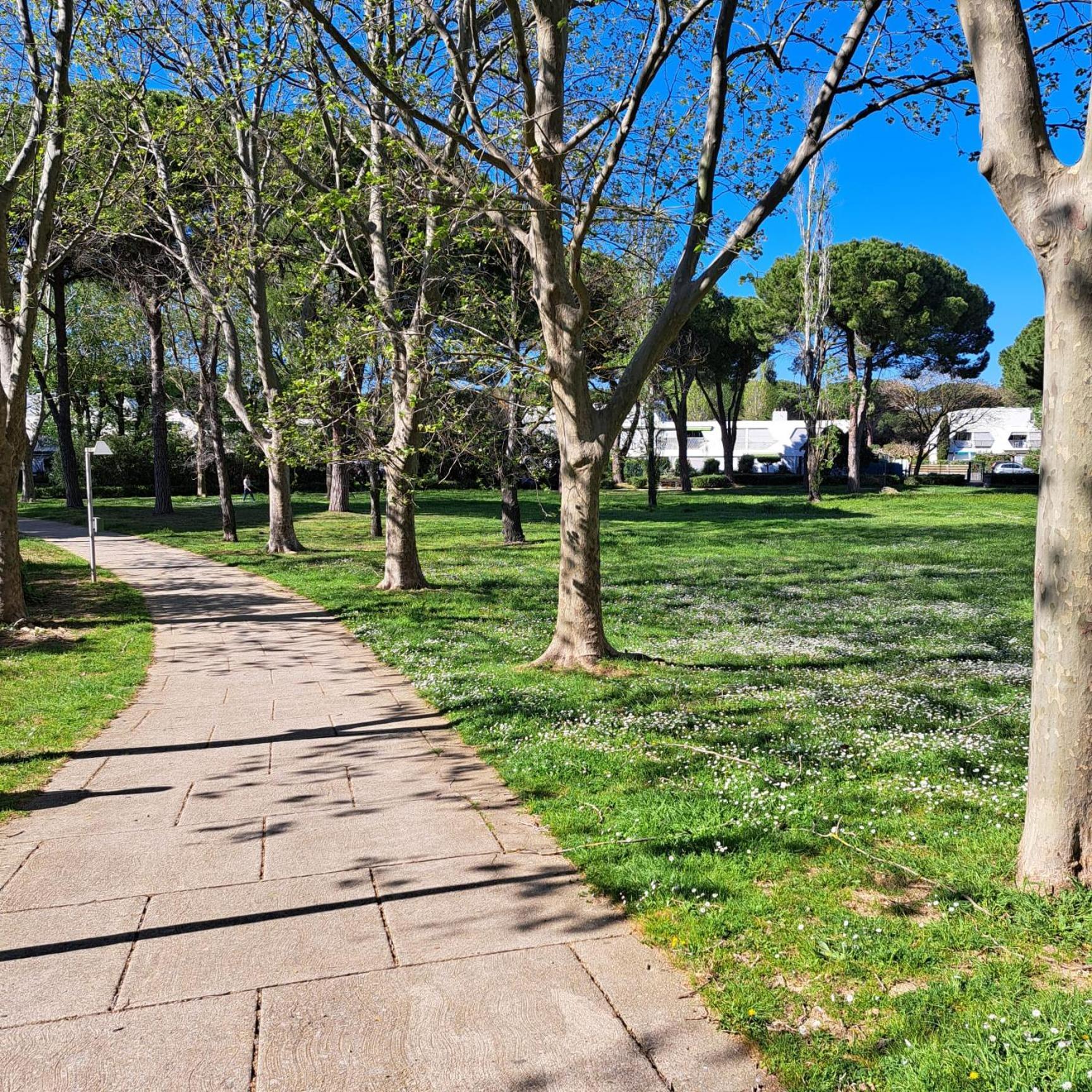לה גרנד מוט T2 West City Parking Clim Wifi 4Pers - Rossiconciergerie - Linge Inclus מראה חיצוני תמונה